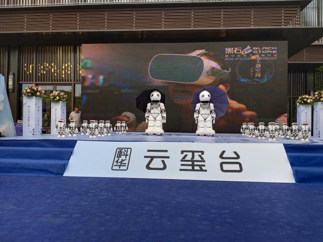 機(jī)器人年會(huì)服務(wù)天團(tuán) 2020文化用品創(chuàng)意策劃方案